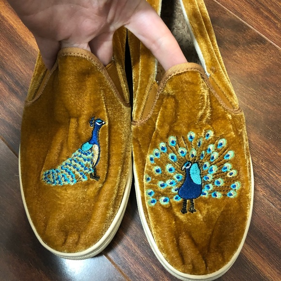 soludos peacock